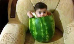 郑州吃瓜爆料视频大全最新,一网打尽城市热点事件